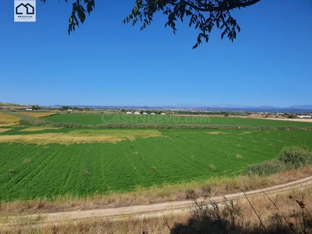 APIHOUSE VENDE FINCA DE REGADIO EN LA VEGA DEL RIO TAJO. PRE - foto 3