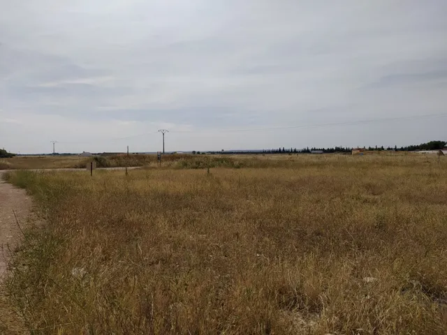 Se vende solar de 4242m2 en camino Santa Maria / Poligono 20 — 6