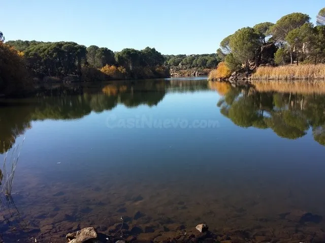 LAS JARAS. PARCELA URBANA CON PROYECTO CON ACCESO DIRECTO AL