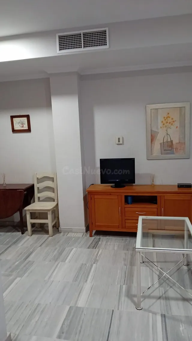Centro San Vicente, calle Torneo, junto al Río. Excelente apartamento amueblado se alquila. Ascensor. — 5