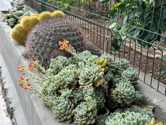 FINCA ECOLÓGICA CON GRAN CASA Y ALTO POTENCIAL DE INVERSIÓN — 35