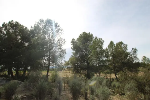 Villa 1 habitación 115m² en venta - Comunidad valenciana — 8