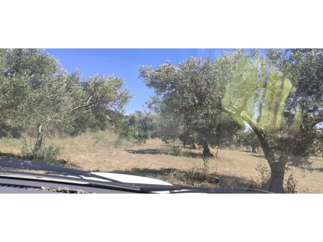 Parcela en Venta en Cantallops Girona - foto 3