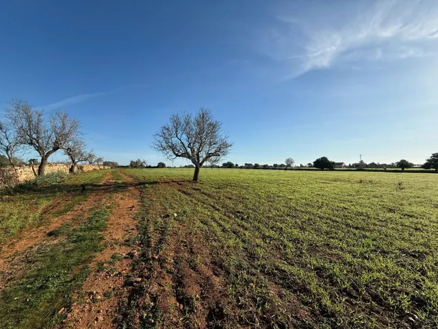 Parcela rústica con proyecto y licencia en S’Horta — Vistas 