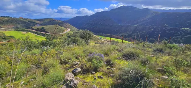 Venta de parcela urbanizable en Antequera Golf, Málaga, Cost - foto 2