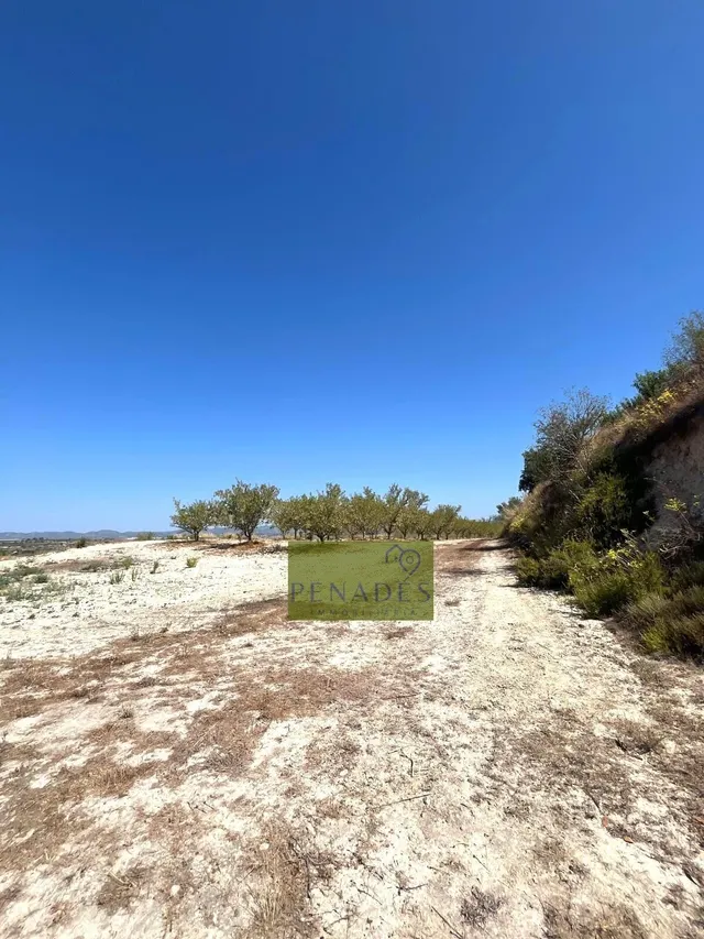 Espectacular Finca en Venta en Bèlgida — 20