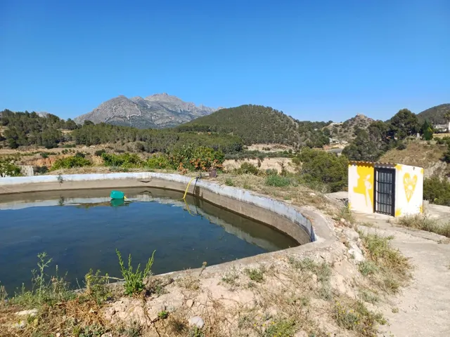 PARCELA DE TERRENO CON CASA CONSTRUIDA Y ARBOLES FRUTALES — 27