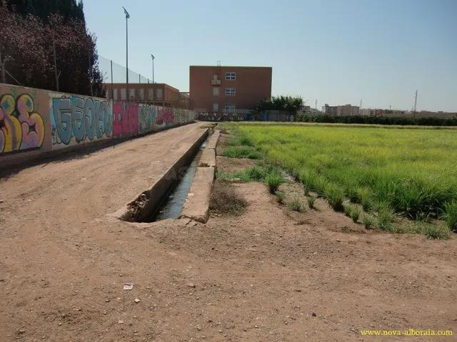 Terreno rural en venta - Huerta — 4