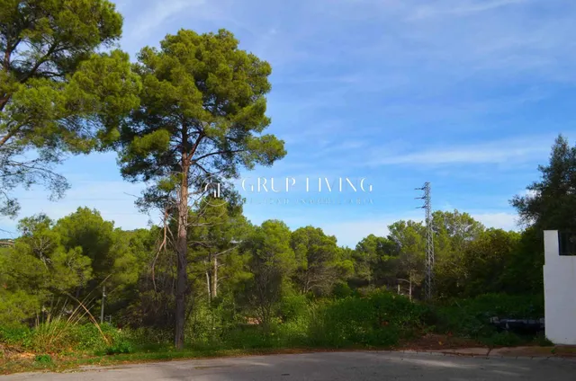 AMPLIA PARCELA EN EL CORAZON DE MAS MESTRE, EN OLIVELLA — 3