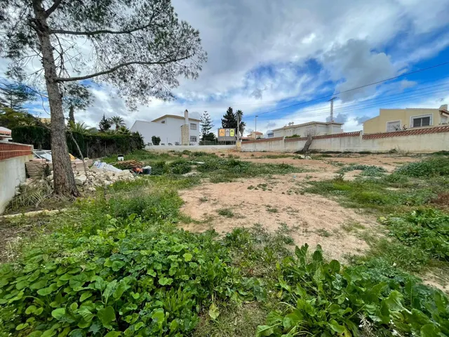 TERRENO URBANIZABLE EN BELLO HORIZONTE — 3