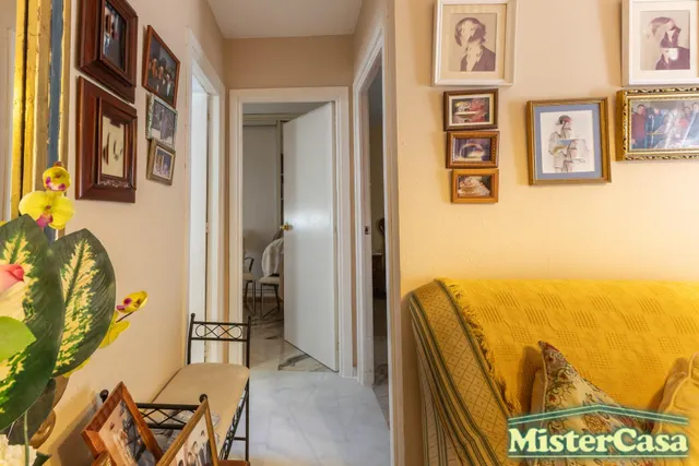 Exclusiva - inversión en pleno centro de jerez - 2d + trastero - con inquilino pagando 800€/mes - rentabilidad inmediata — 11