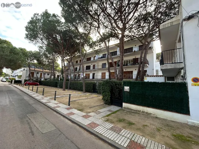 Se vende un piso en planta baja en segunda linea de mar en P - foto 5