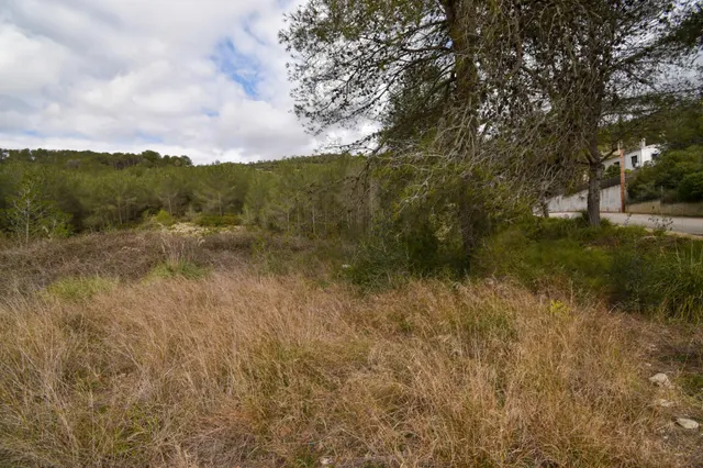 TERRENO URBANO PLANO EN MAS MESTRES — 9