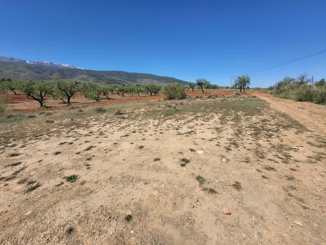 SE VENDE PARCELA RUSTICA EN ABRUCENA ZONA CAMPILLO - foto 3