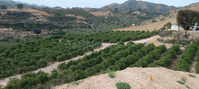 FINCA RÚSTICA EN CABEZO DE LA PLATA - foto 3