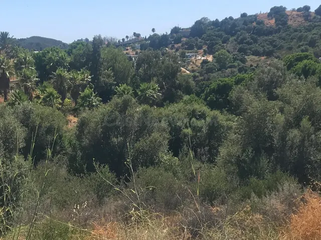 Parcela en venta - Costa Del Sol - foto 5