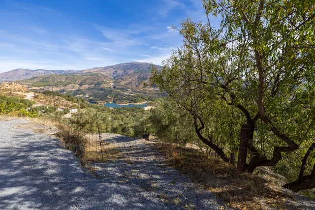 ¡Oportunidad única! Dos Fincas rústicas de mas de 15.000 m2 en total en Pinos del Valle. VENTA JUNTAS O SEPARADAS — 42