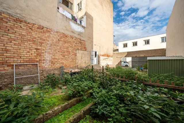 SOLAR URBANIZABLE EN MANACOR. — 20