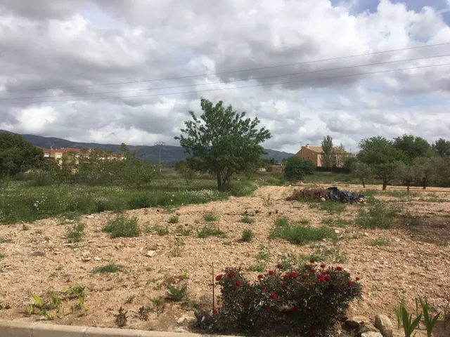 Terreno Urbano en el centro del pueblo de Ubeda — 5