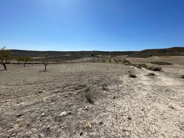TERRENO RURAL EN VENTA EN MAZARRON - foto 3