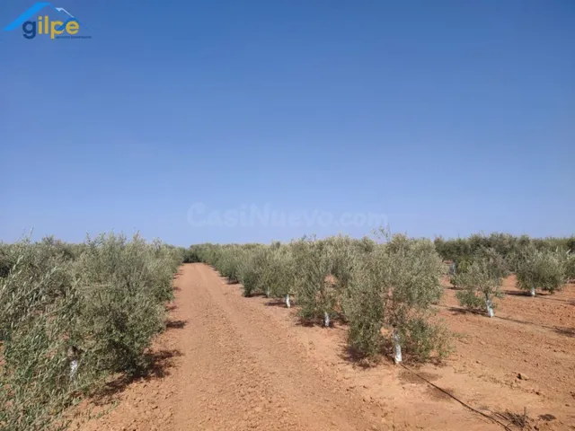 ESTUPENDA PARCELA EN LA SALIDA DE LA VENTA EL RITMO CARRETER - foto 2