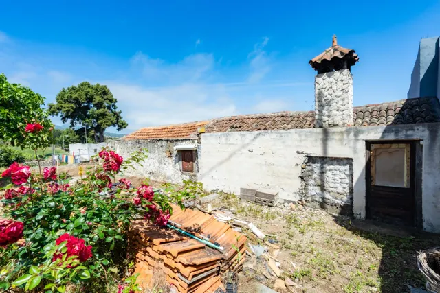 Finca con vivienda y viñedos en Icod de los Vinos — 24