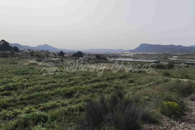 Parcela en Venta en Romana, La Alicante - foto 3