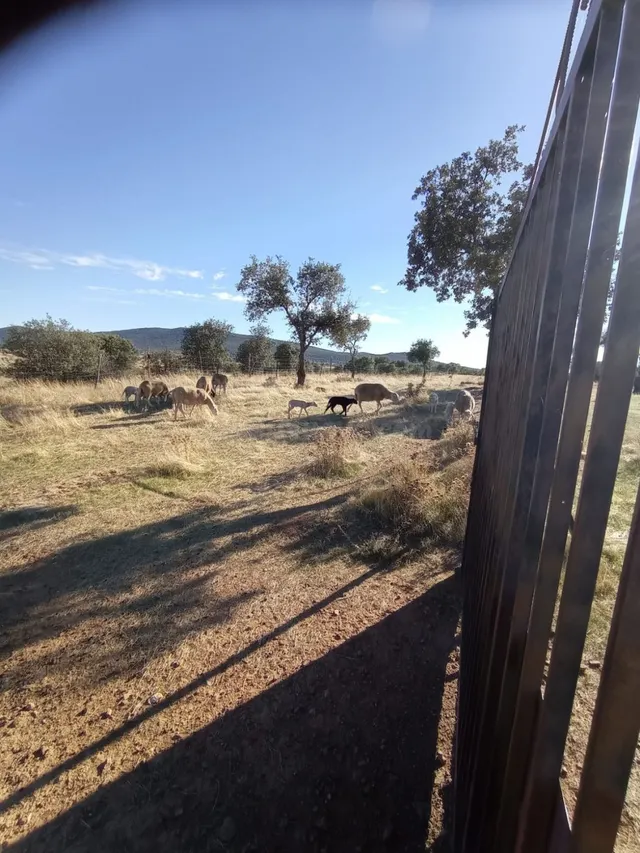 Finca Rústica en Carretera de Badajoz - foto 2