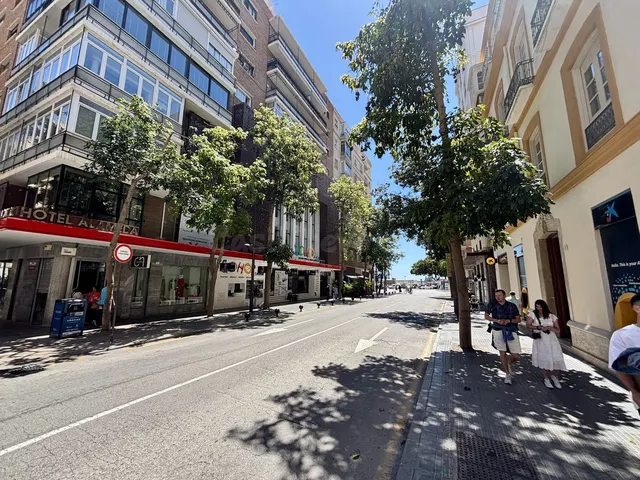 Apartamento 9 habitaciones 313m² en venta - Ensanche del Centro-Puerto — 3