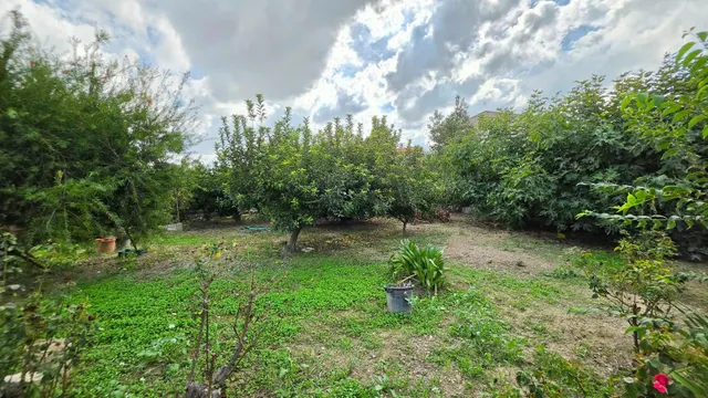 SE VENDE CASA RUSTICA EN ZONA LOS TORRAOS CEUTI - foto 3