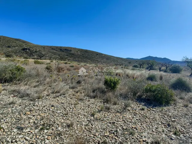 SE VENDE PARCELA EN LA SOLANA DE HONDON DE LOS FRAILES — 6