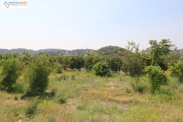 TERRENO DE 2 HANEGADAS ENTRE PETRES Y ALBALAT TARONGERS — 3