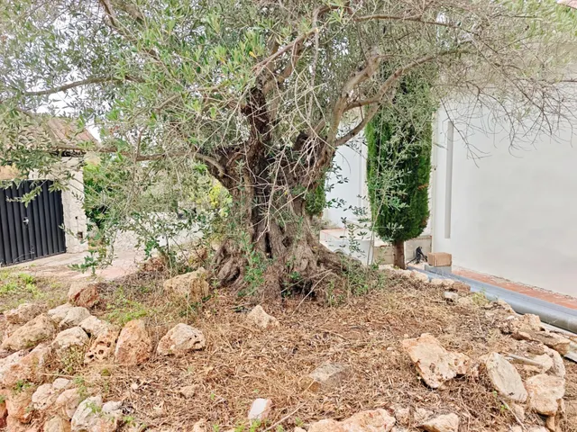 Villa semi reformada en la Mairena, 485m2 útiles, 3000m2 parcela, vistas abiertas a la montaña y mar al fondo — 31