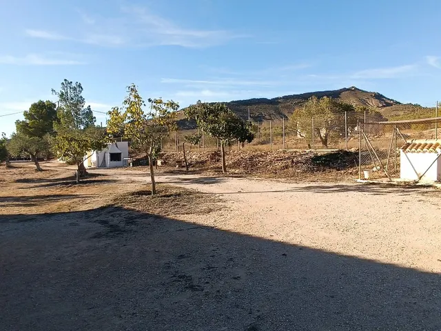 Piso 5 habitaciones 200m² en venta - Ayuntamiento — 18