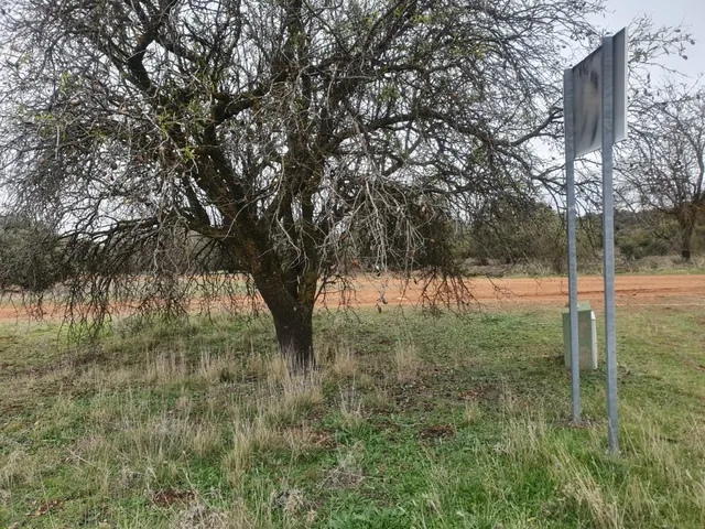 Gran oportunidad de Parcela con unas vistas Privilegiadas en los La Dehesa de los Hueros — 6