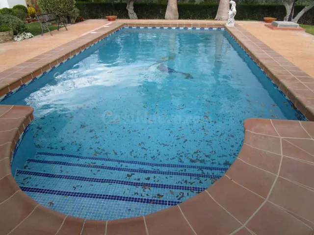 CHALET DE LUJO CON PISCINA, JARDIN Y BARBACOA - foto 2
