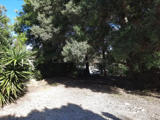 Parcela en zona Corral de calafat — 3