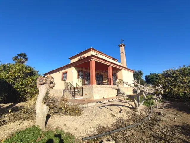 Casa de campo con huerta en Algorfa, a pocos kilómetros de l - foto 2