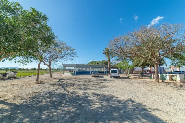 Finca rústica 2 habitaciones 9300m² en venta - Balsicas - foto 4
