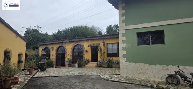PROPIEDAD CON GRAN PARCELA URBANA, VARIAS construcciones Y F - foto 5