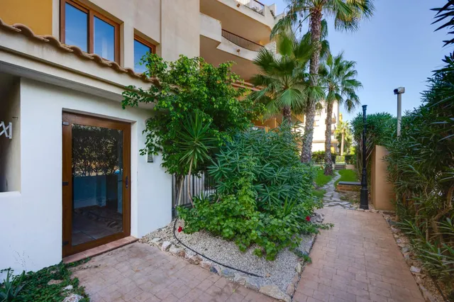 Buhardilla 2 habitaciones 73m² en venta - Punta Prima — 31