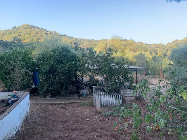 PARCELA ZONA DOÑA MANUELA — 7