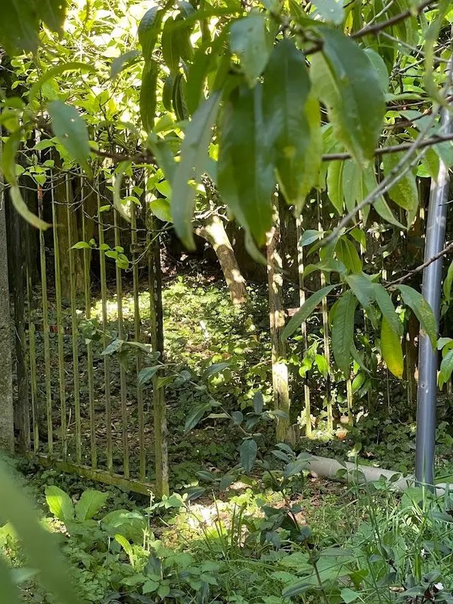 CASA SEÑORIAL DE 1807 CON FINCA DE 6.500M2. PERFECTA CASA RURAL — 43