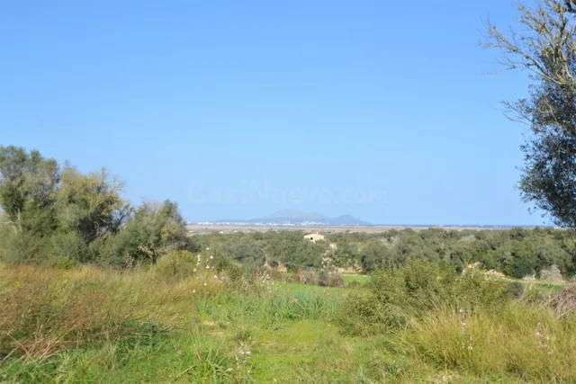 Finca en suelo rústico general, en venta en Muro con increíb