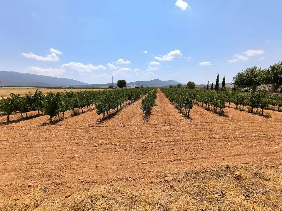 Parcela en venta - Ayuntamiento