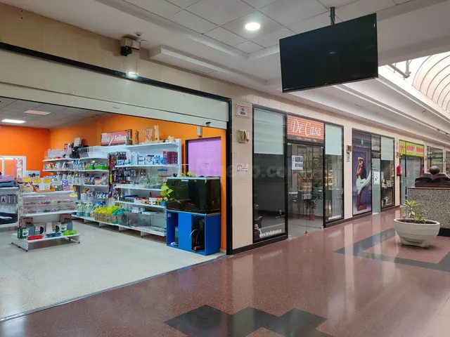 LOCAL COMERCIAL ACONDICIONADO Y MUY CENTRICO - foto 2