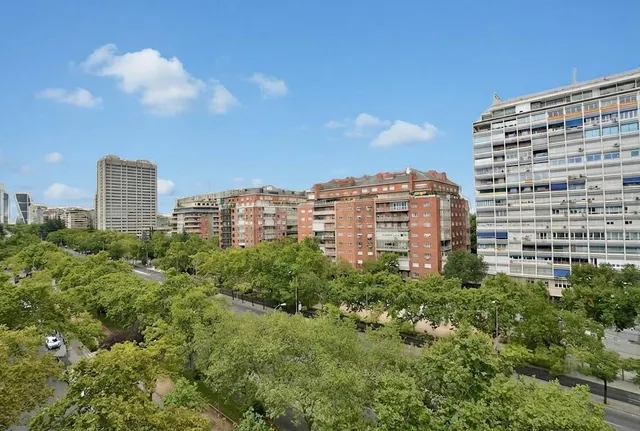 SE ALQUILA OFICINA DE 20M2 EN PLENO PASEO DE LA CASTELLANA - foto 5