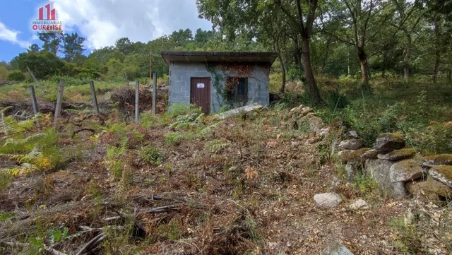 FINCA RUSTICA CON GALPON EN LA ZONA DE CASTRO DE BEIRO (AMOE - foto 3