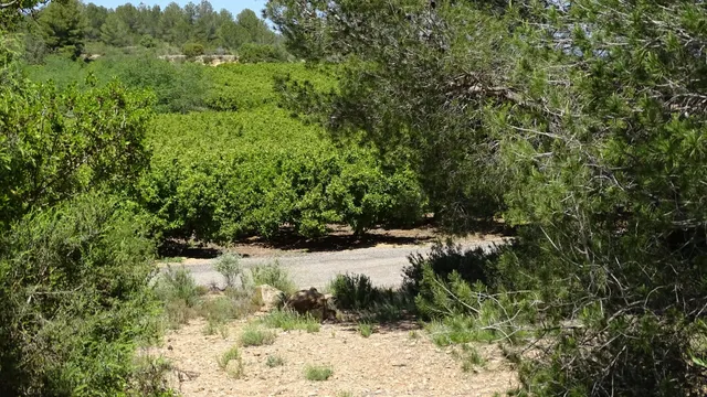 Terreno en venta en Vilamarxant — 23