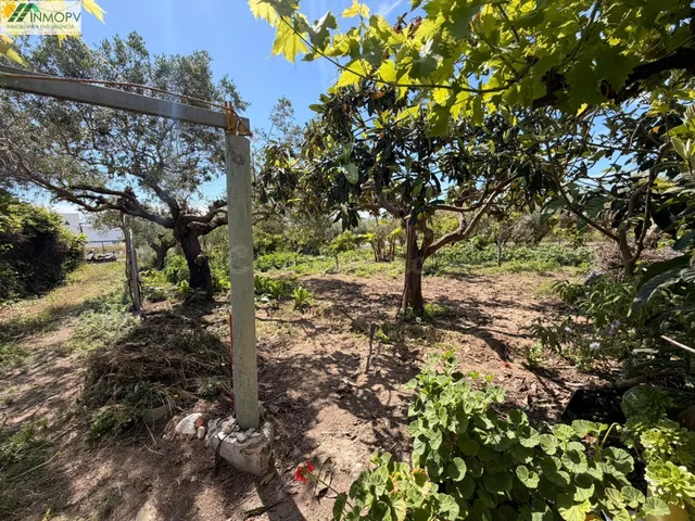 FINCA RÚSTICA VALLADA DE 560 M2 CON CASA LEGALIZADA A 1 KM D - foto 5